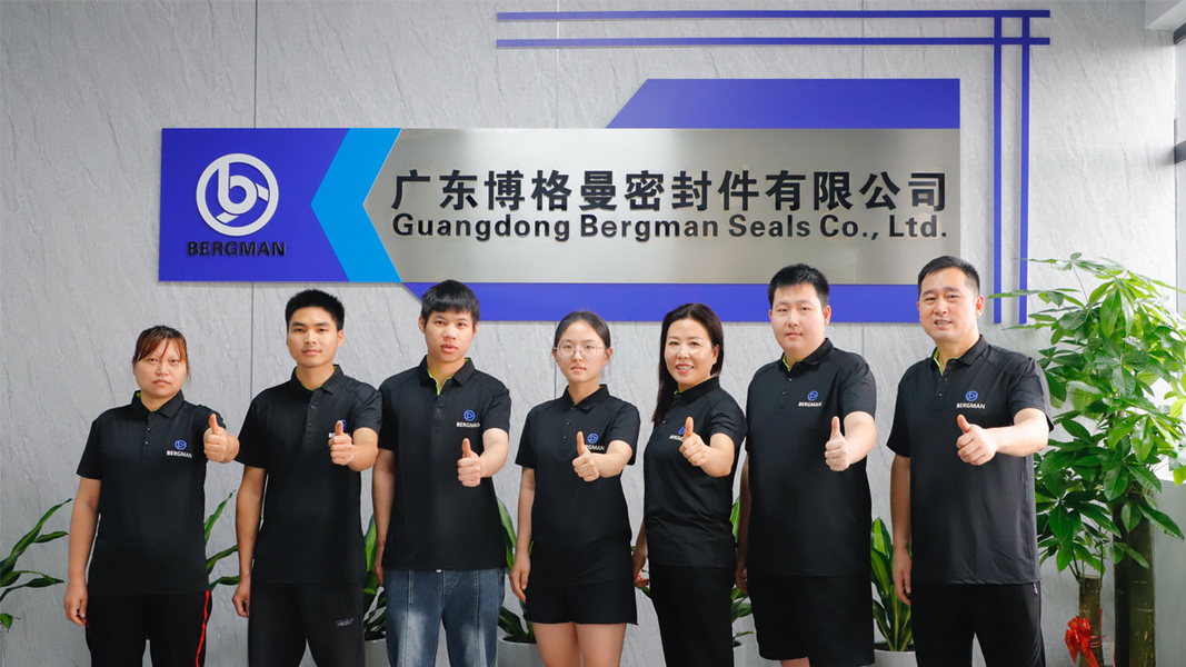 중국 Guangzhou Bogeman Mechanical Seal Co., Ltd. 회사 프로필