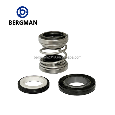 BERGMAN 560D-25mm 회전 펌프 WQ 잠수 펌프에 대한 기계적 밀폐